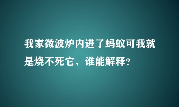 我家微波炉内进了蚂蚁可我就是烧不死它，谁能解释？