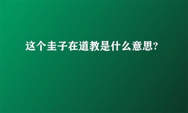 这个圭子在道教是什么意思?