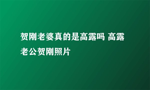 贺刚老婆真的是高露吗 高露老公贺刚照片