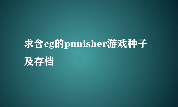 求含cg的punisher游戏种子及存档