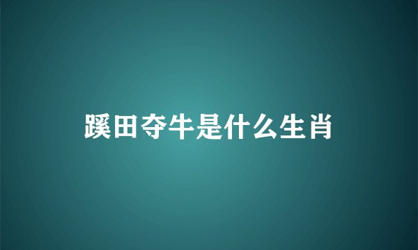 蹊田夺牛是什么生肖