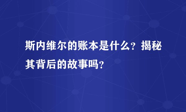斯内维尔的账本是什么？揭秘其背后的故事吗？