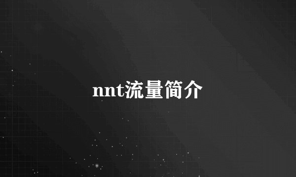 nnt流量简介