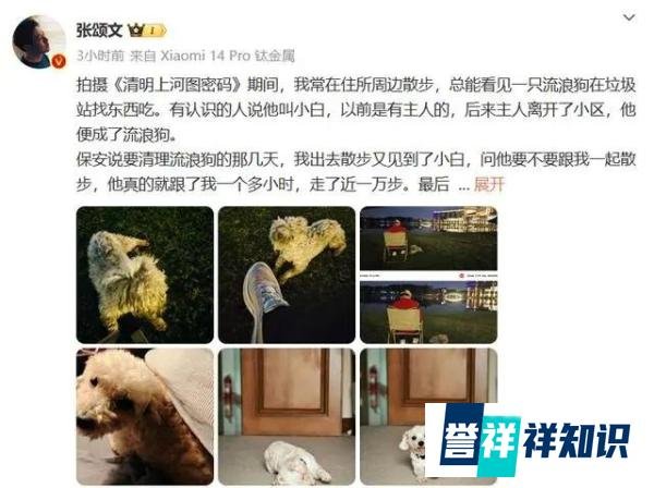 张颂文领养了流浪狗小白 以前有主人 后来主人离开了小区