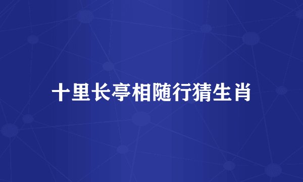十里长亭相随行猜生肖