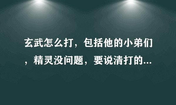 玄武怎么打，包括他的小弟们，精灵没问题，要说清打的顺序，和技能，说清带的精灵