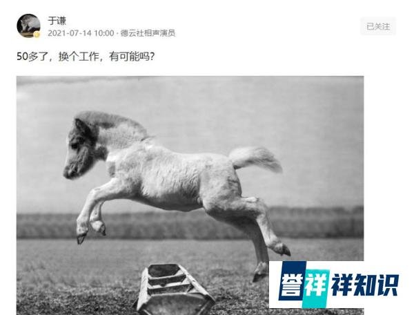 五十二岁的于谦发文要换工作？他的目的被网友一语道破！