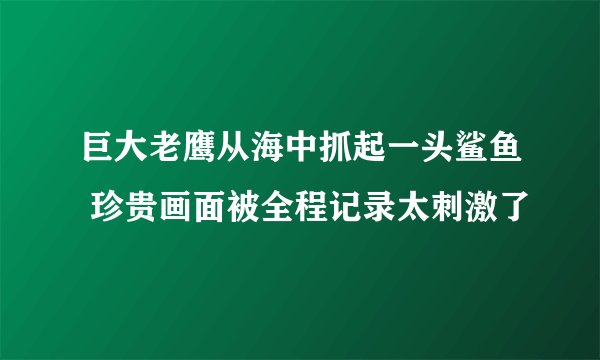 巨大老鹰从海中抓起一头鲨鱼 珍贵画面被全程记录太刺激了