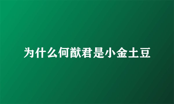 为什么何猷君是小金土豆