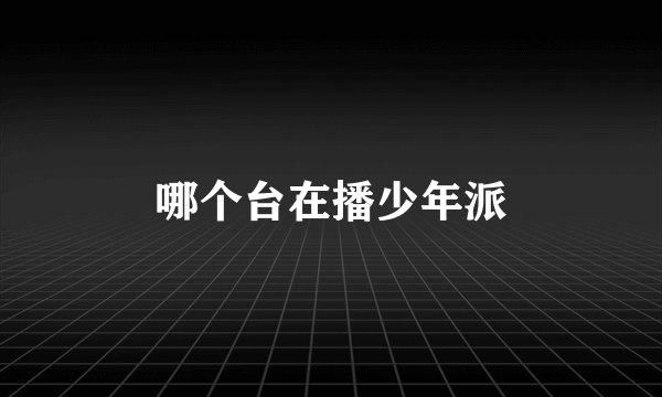 哪个台在播少年派