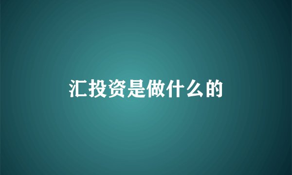汇投资是做什么的
