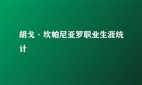胡戈·坎帕尼亚罗职业生涯统计