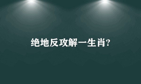 绝地反攻解一生肖?