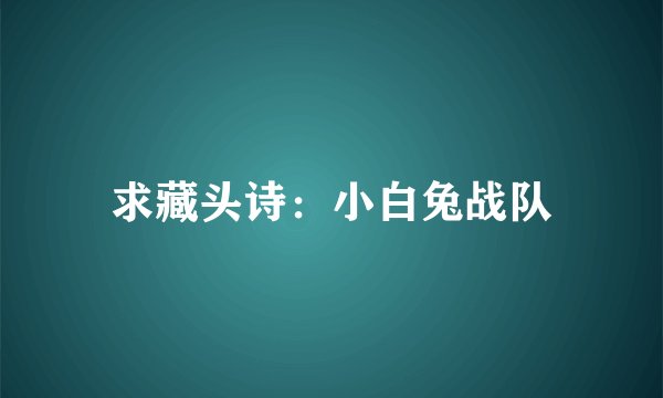 求藏头诗：小白兔战队