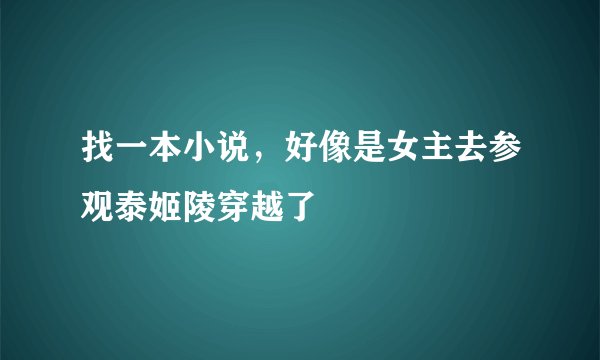 找一本小说，好像是女主去参观泰姬陵穿越了