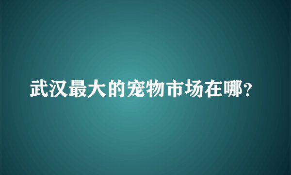 武汉最大的宠物市场在哪？