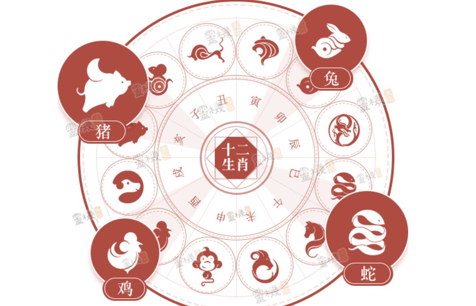 追根到底打一生肖数字