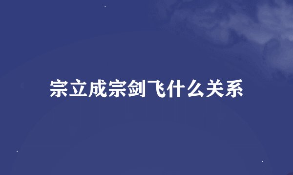 宗立成宗剑飞什么关系