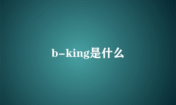 b-king是什么