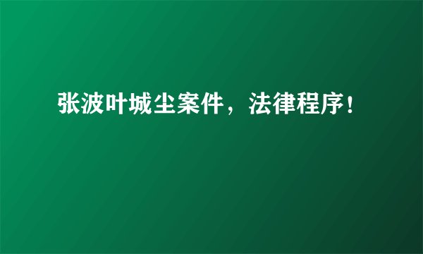 张波叶城尘案件，法律程序！