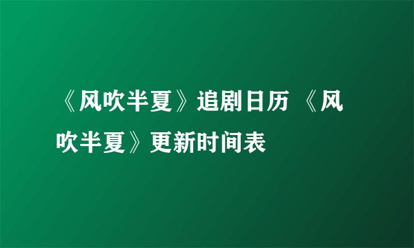 《风吹半夏》追剧日历 《风吹半夏》更新时间表