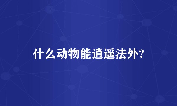 什么动物能逍遥法外?