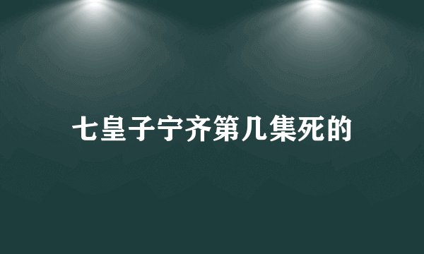 七皇子宁齐第几集死的