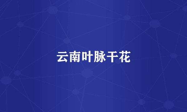 云南叶脉干花
