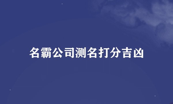 名霸公司测名打分吉凶