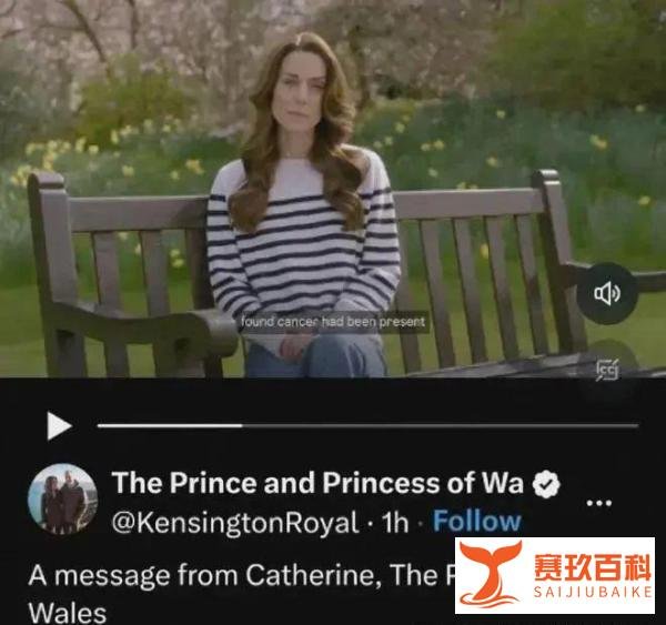 凯特王妃“近亲联姻”的崩溃瓜！