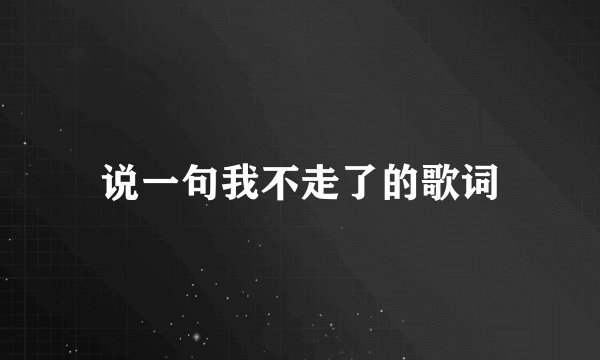 说一句我不走了的歌词