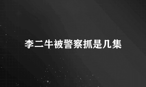 李二牛被警察抓是几集