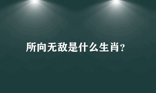 所向无敌是什么生肖？