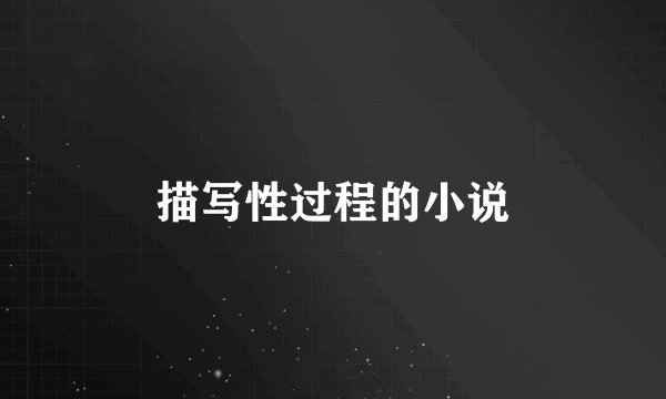 描写性过程的小说