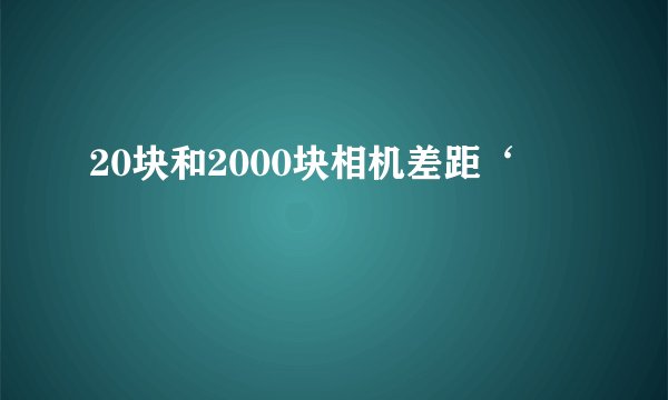 20块和2000块相机差距‘