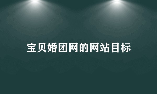 宝贝婚团网的网站目标