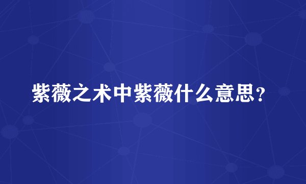 紫薇之术中紫薇什么意思？