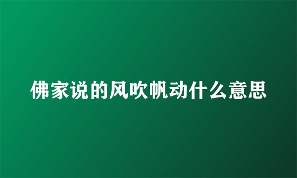 佛家说的风吹帆动什么意思