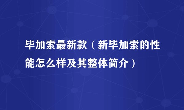 毕加索最新款（新毕加索的性能怎么样及其整体简介）
