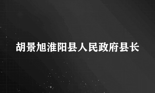 胡景旭淮阳县人民政府县长