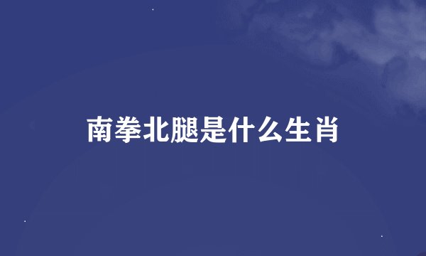 南拳北腿是什么生肖