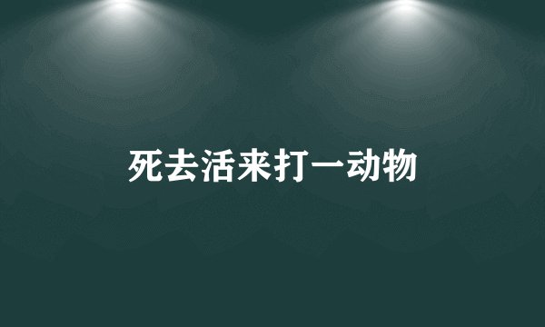死去活来打一动物