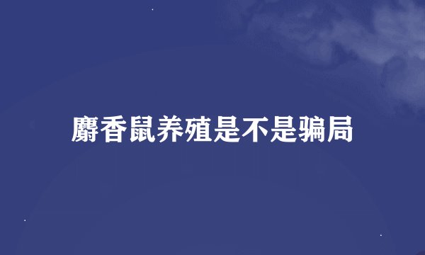 麝香鼠养殖是不是骗局