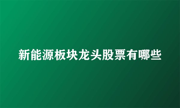 新能源板块龙头股票有哪些