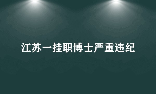 江苏一挂职博士严重违纪