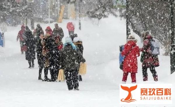 东北大学生正式确诊为“滑”妃，哈工大暖廊火出圈