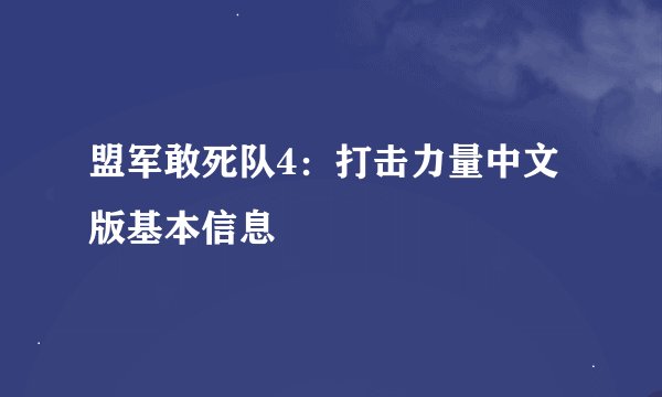 盟军敢死队4：打击力量中文版基本信息