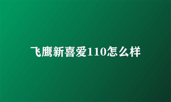 飞鹰新喜爱110怎么样