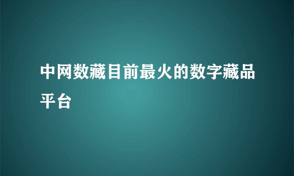 中网数藏目前最火的数字藏品平台