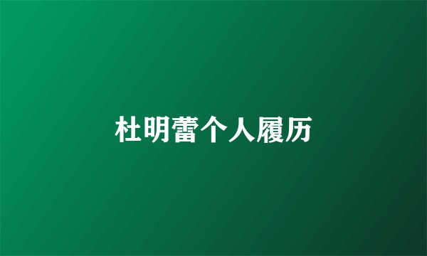 杜明蕾个人履历
